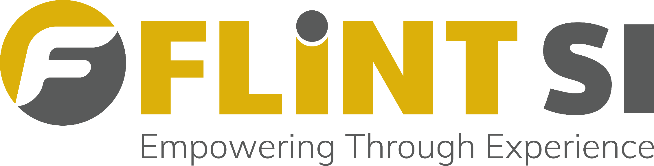 Flint SI logo